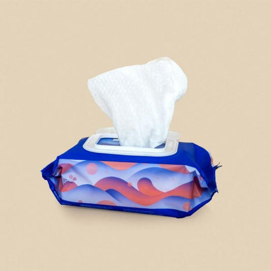 Body Wipes - Pouch - 25ct - Dame - Vibe Delux LLC - vibedelux.com